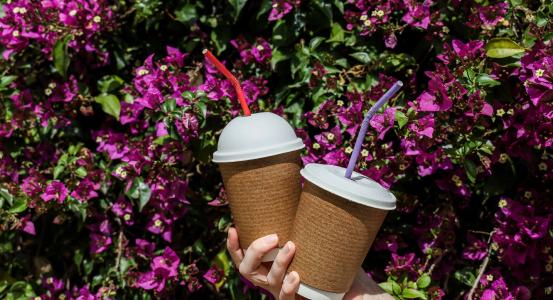 Cups
