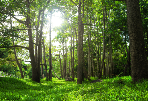 Sustainability